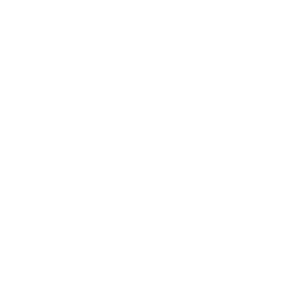 Logo_VdS